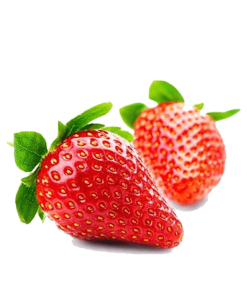 Fresh Strawberry