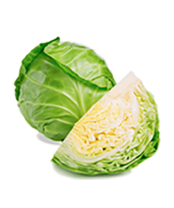 Organic Cabbage